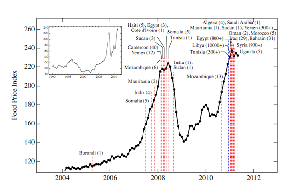 Entwicklung der Nahrungsmittelpreise und Ausschreitungen.